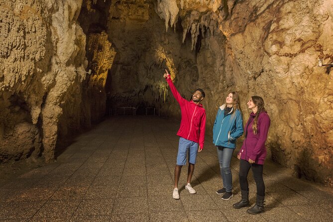 Waitomo Glowworm Cave Experience - Small Group Tour From Auckland - Guidelines and Recommendations