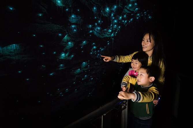 Waitomo Glowworm Cave Experience - Small Group Tour From Auckland - Duration and Tour Details