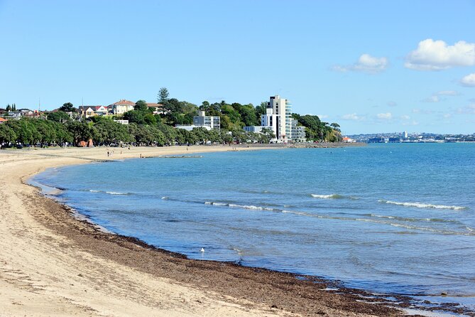 Waitomo Glowworm Caves and Auckland City Tour a Day Trip - Meeting and Pickup