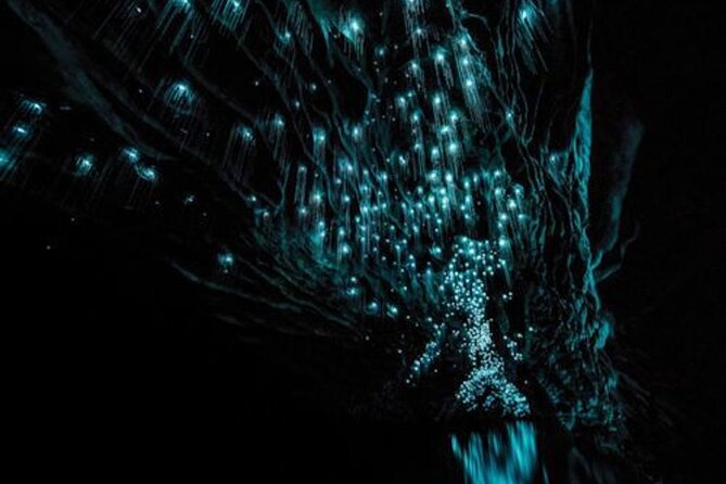 Waitomo Glowworm Caves and Auckland City Tour a Day Trip - Accessibility Information