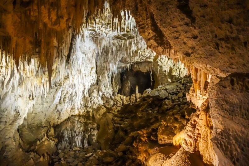 Waitomo: Glowworm Caves Guided Tour by Boat - Key Points