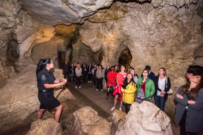 Waitomo: Glowworm Caves Guided Tour by Boat - Recap