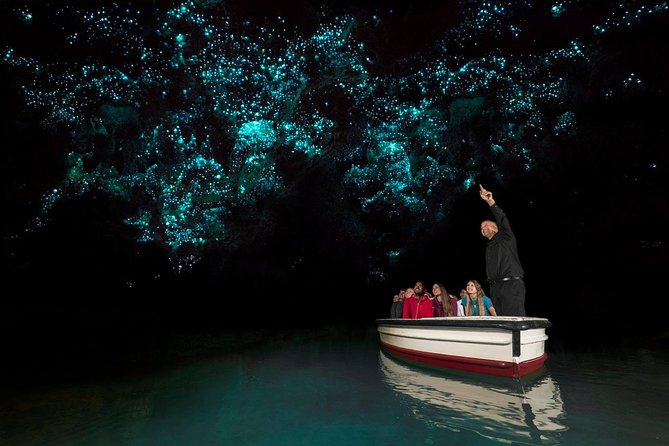 Waitomo Glowworm Caves Guided Tour - Meeting and Logistics