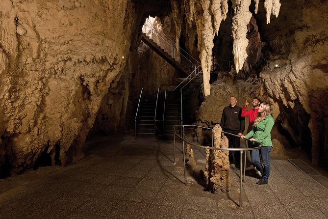 Waitomo Glowworm Caves Guided Tour - Discovering Cathedral Cave