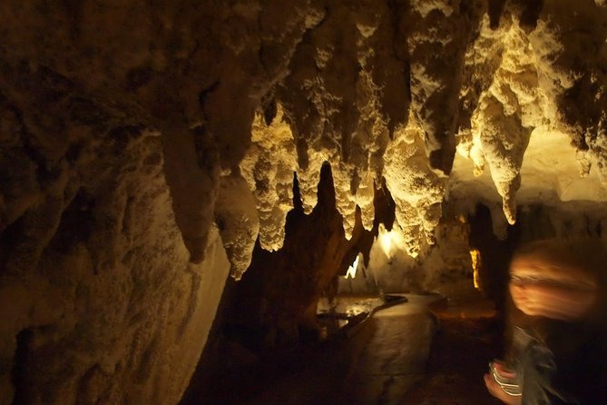 Waitomo Glowworm Caves In a Private Small Group Tour-Auckland. - Availability and Satisfaction