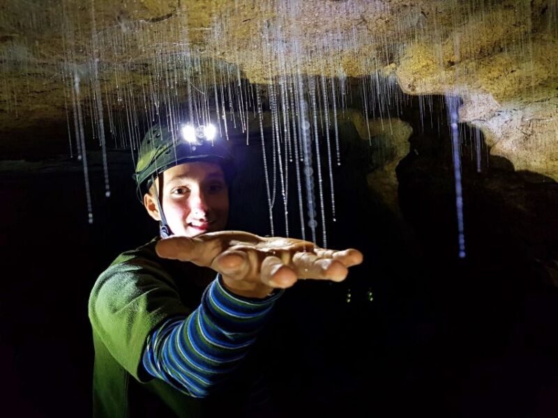 Waitomo: Guided Eco-Cave Tour - Key Points
