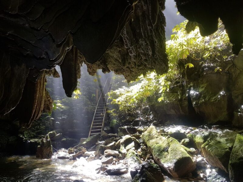 Waitomo: Guided Eco-Cave Tour - Important Information