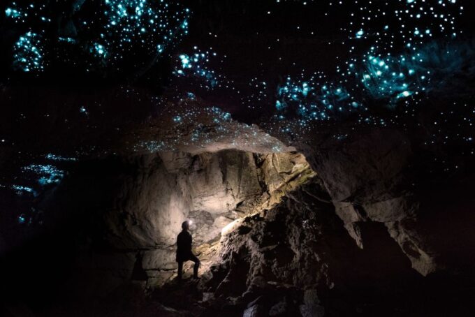 Waitomo: Guided Eco-Cave Tour - Recap