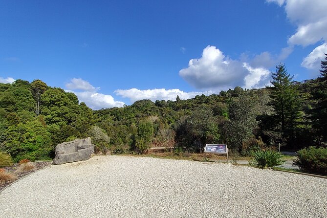 Waitomo Triple Cave Experience - Private Tour From Auckland - Tour Requirements and Accessibility