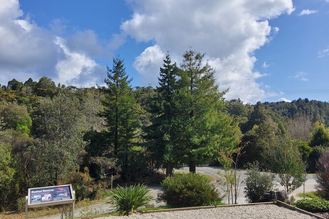 Waitomo Triple Cave Experience - Private Tour From Auckland - Unique Cave Features