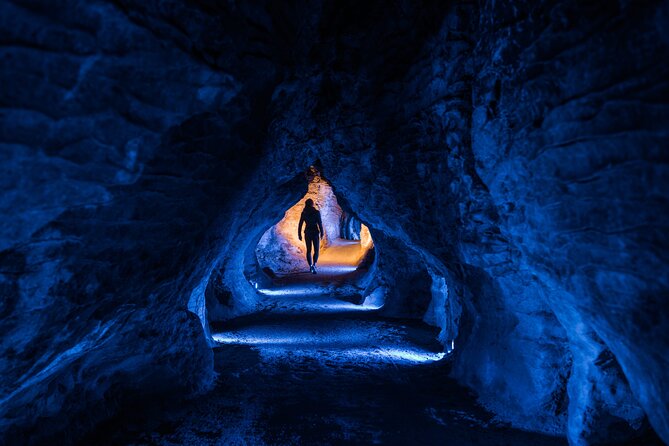 Waitomo Triple Cave Experience - Private Tour From Auckland - Exclusive New Zealand Species
