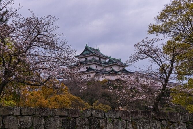 Wakayama Castle and Kuroshio Market 1 Day Tour - Kuroshio Market