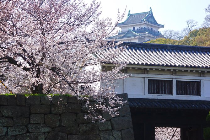 Wakayama Castle Town Walking Tour - Inclusions and Exclusions