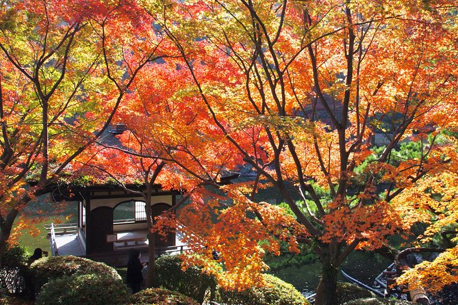 Wakayama Castle Town Walking Tour - Safety and Liability
