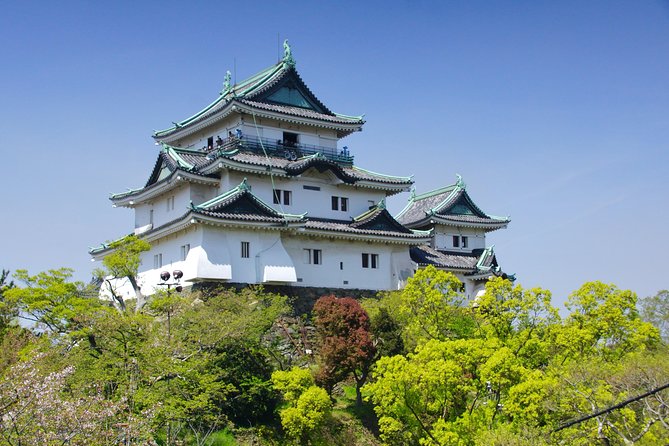 Wakayama Castle Town Walking Tour - Physical Fitness