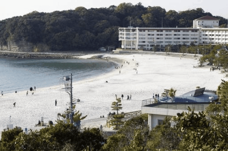 Wakayama Customized Day Tour - Key Points