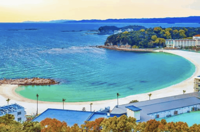 Wakayama Customized Day Tour - Experience Highlights