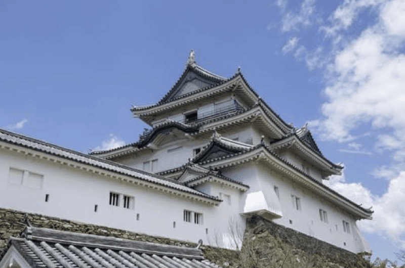 Wakayama Customized Day Tour - Tour Inclusions