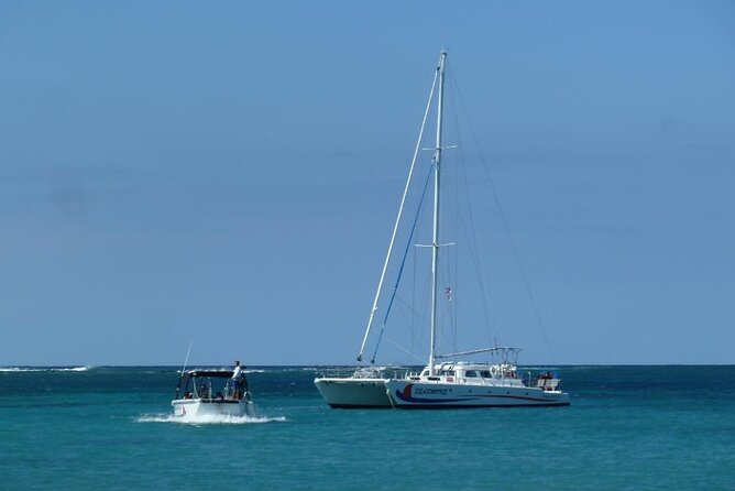 Wake Up With the Whales Cruise - Expert Naturalist Commentary