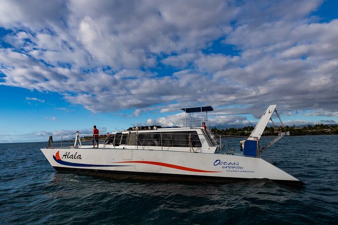 Wake up With the Whales Cruise From Kawaihae Harbor - Schedule and Timing