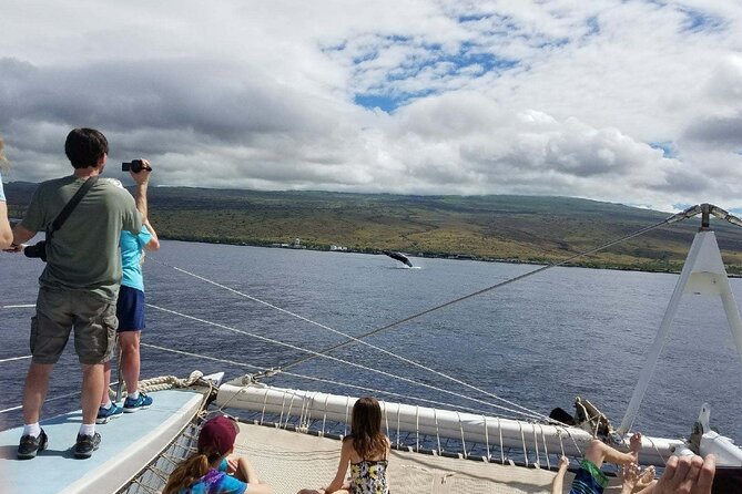 Wake up With the Whales Cruise From Kawaihae Harbor - Accessibility Information