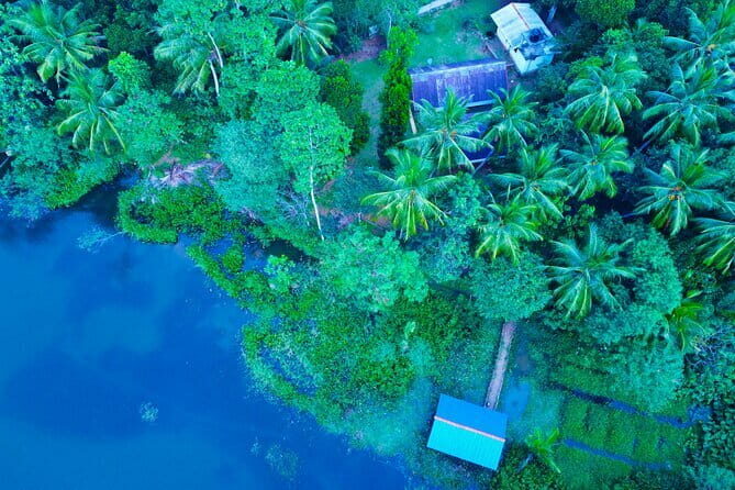 Walawe Palm Safari Udawalawe - The Experience: What Travelers Say