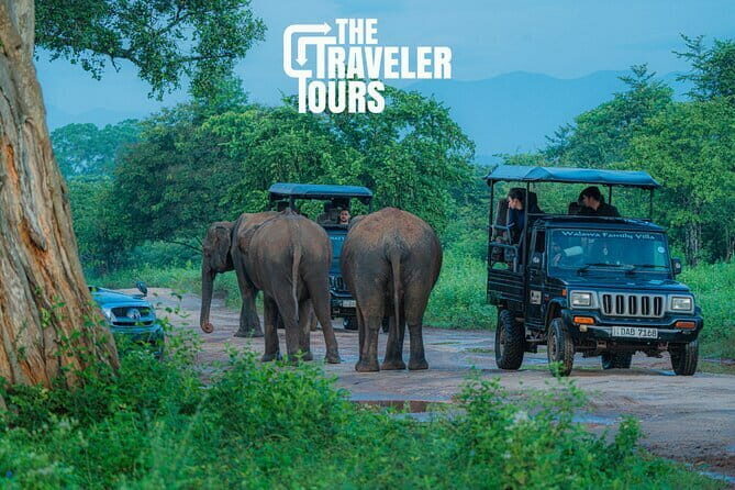 Walawe Palm Safari Udawalawe - FAQ