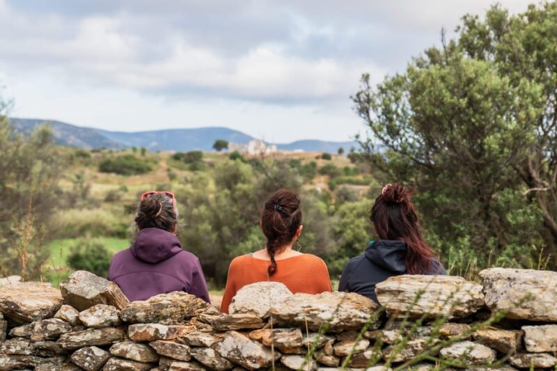 Walk Among the Olive Trees (Private Group Experience) - Key Points