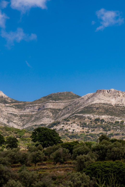 Walk Among the Olive Trees (Private Group Experience) - Hiking Details