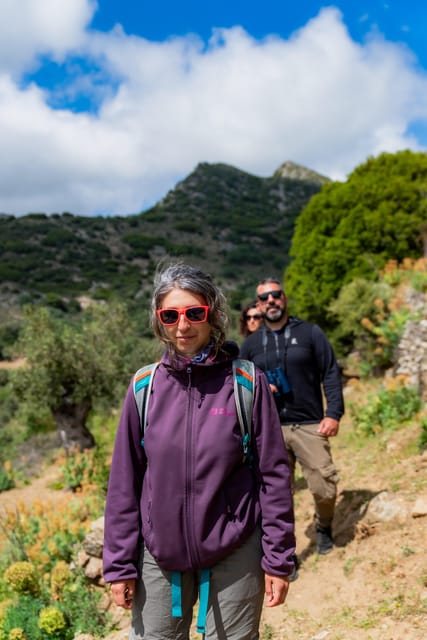 Walk Among the Olive Trees (Small Group Experience) - Key Points