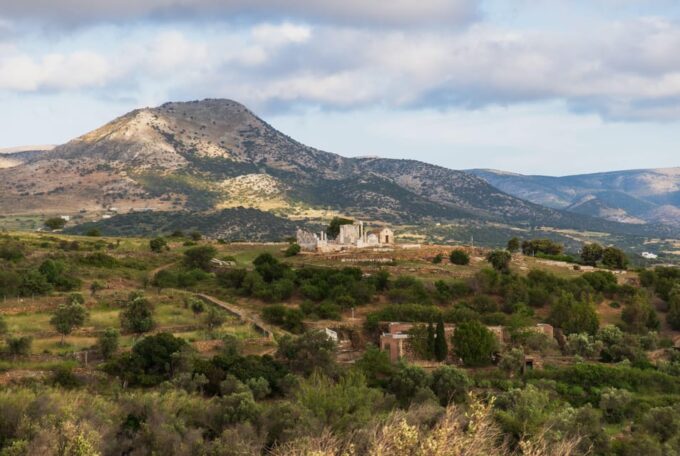 Walk Among the Olive Trees (Small Group Experience) - Language and Price