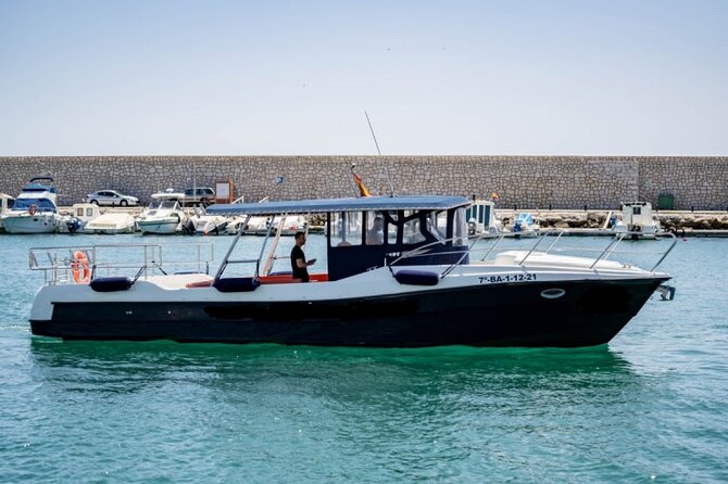 Walk and Dolphin Watching in Fuengirola + 1 Drink - Inclusions