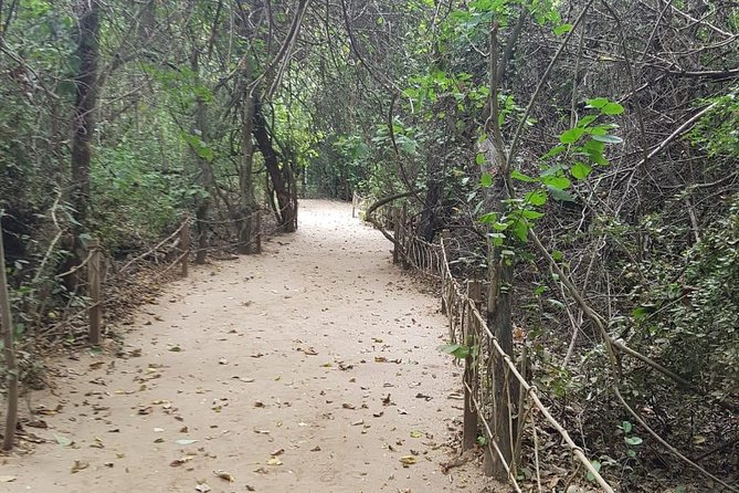 Walk And Snorkel In The National Park HT - Health and Safety Considerations