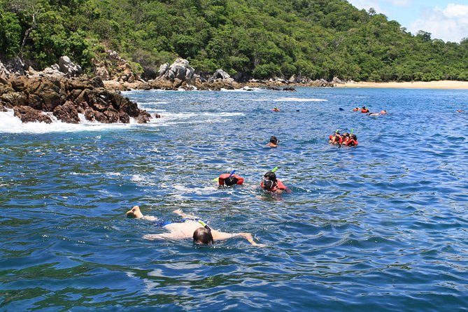 Walk And Snorkel In The National Park HT - Customer Feedback and Experiences