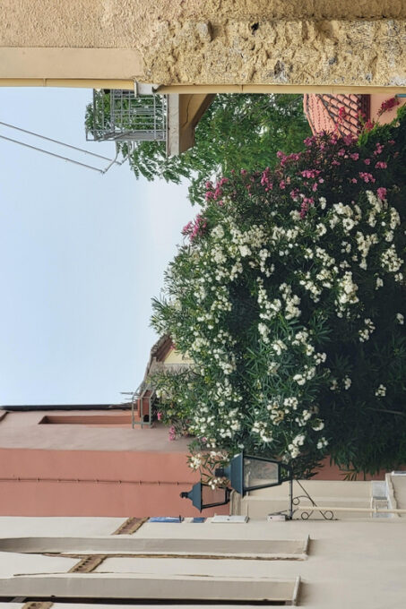 Walk and Talk Around Athens - Recap