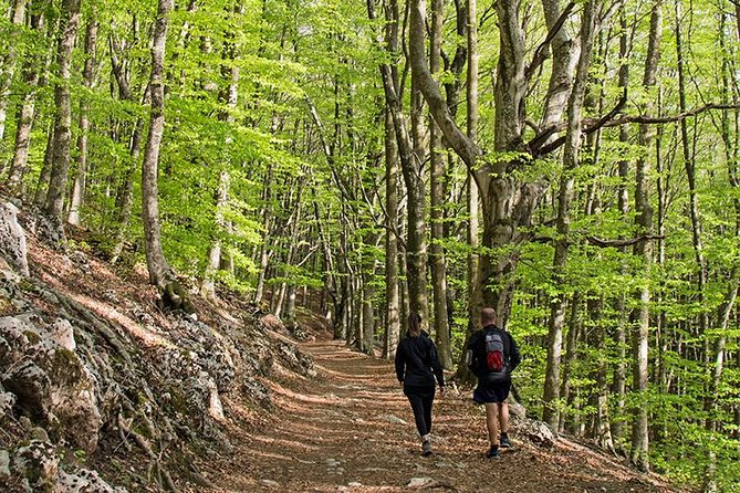 Walk Around Faito Mountain, the Highest Point of the Amalfi Coast and Sorrento Peninsula - Physical Requirements