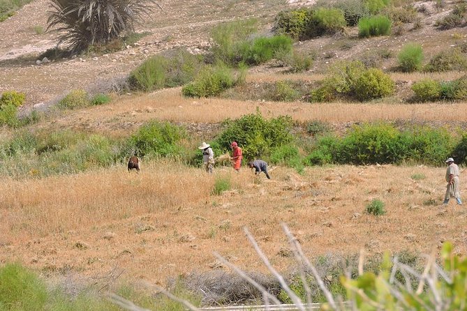 Walk Between Argan Forest, Ocean & Waterfalls - Pricing and Cancellation Policy