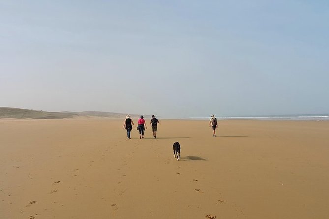 Walk Between Argan Forest, Ocean & Waterfalls - Exploring the Argan Forest