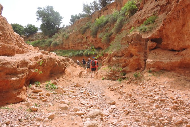Walk Between Argan Forest, Ocean & Waterfalls. - Meeting Point and Directions