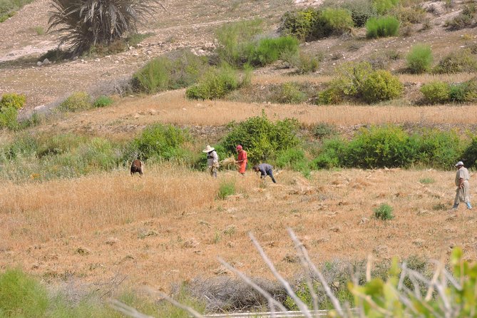 Walk Between Argan Forest, Ocean & Waterfalls. - Cancellation Policy and Lowest Price Guarantee