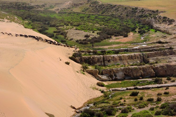 Walk Between Argan Forest, Ocean & Waterfalls. - Exploring the Argan Forest