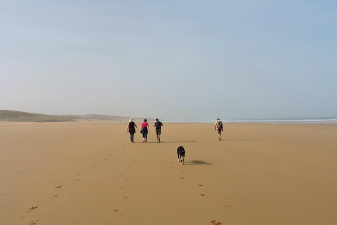 Walk Between Argan Forest, Ocean & Waterfalls. - Admiring the Ocean Scenery