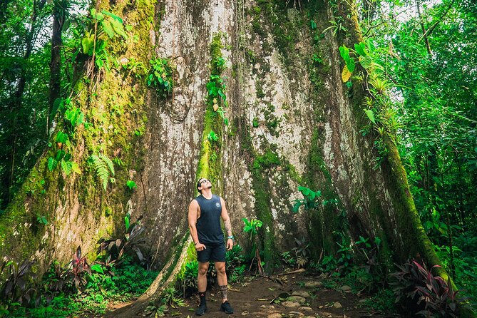 Walk in Río Celeste in Tenorio Volcano National Park - Exploring the Waterfall