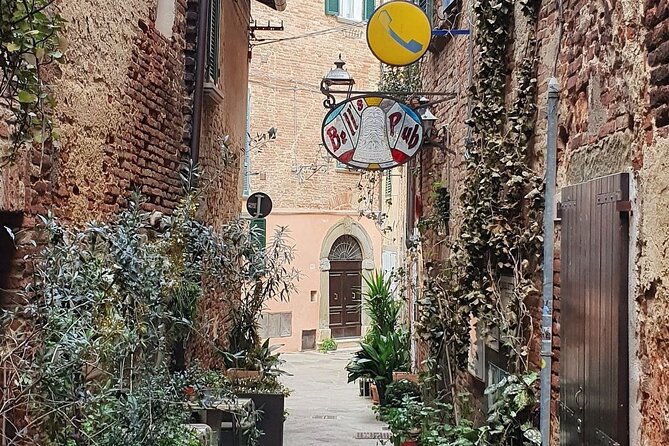 Walk in the Heart of Foiano Della Chiana and Its Surroundings - Local Cuisine and Dining Experiences