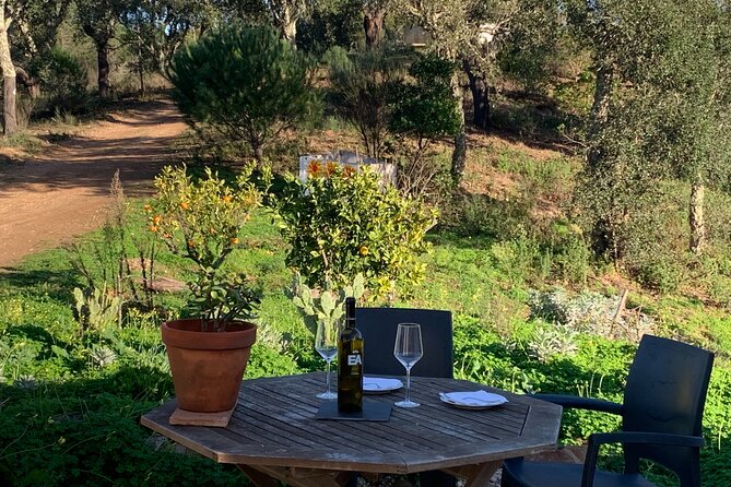 Walk in the Hills With Goat Herder-Local Honey, Wine and Cheese Tasting - Meeting and Pickup Information