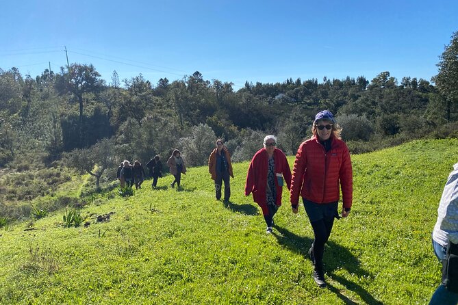 Walk in the Hills With Goat Herder-Local Honey, Wine and Cheese Tasting - Participation Guidelines