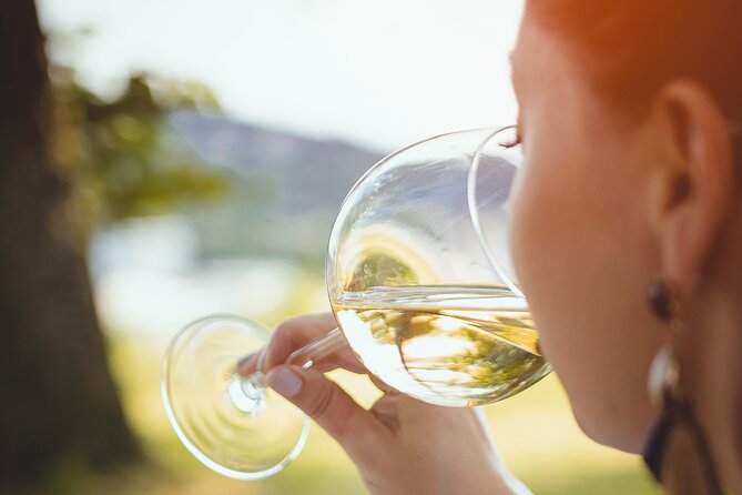 Walk in the Vineyard With Tasting - Key Points