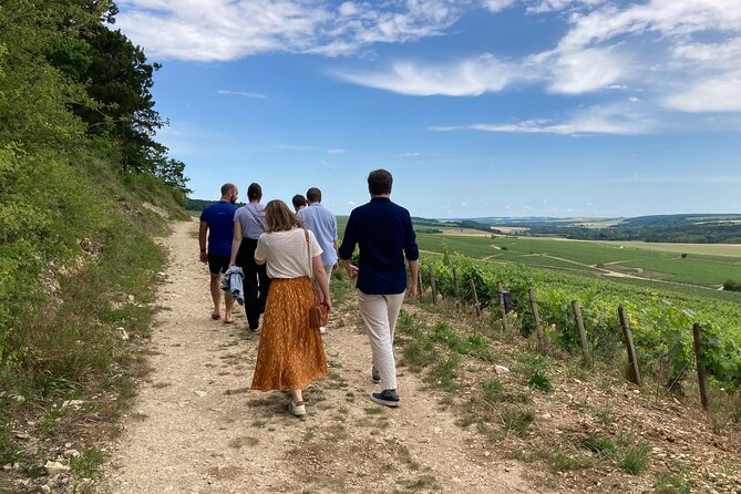 Walk in the Vineyards of Chablis Grands Crus - Inclusions and Highlights
