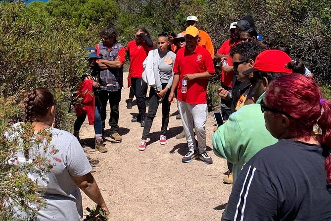 Walk on Country at Taananeditj (Rotary Lookout) - Traditional Foods and Bush Fruits