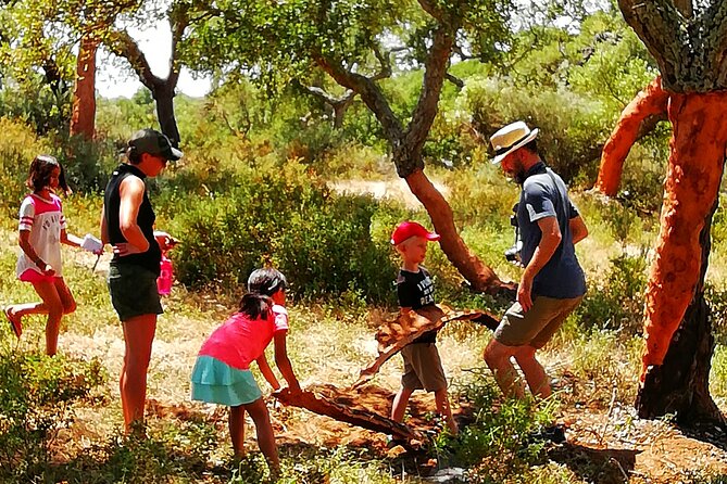 Walk on the Alentejo Cork Forest With Optional Lunch - Inclusions and Additional Information